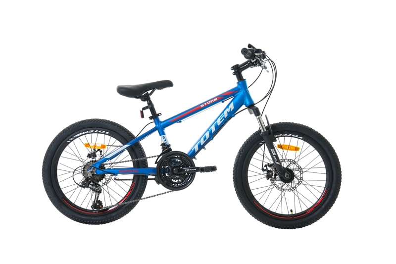 BICICLETA TOTEM MTB ARO 20 MODELO STORM AZUL - 1