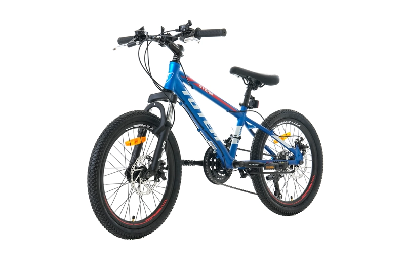 BICICLETA TOTEM MTB ARO 20 MODELO STORM AZUL - 6