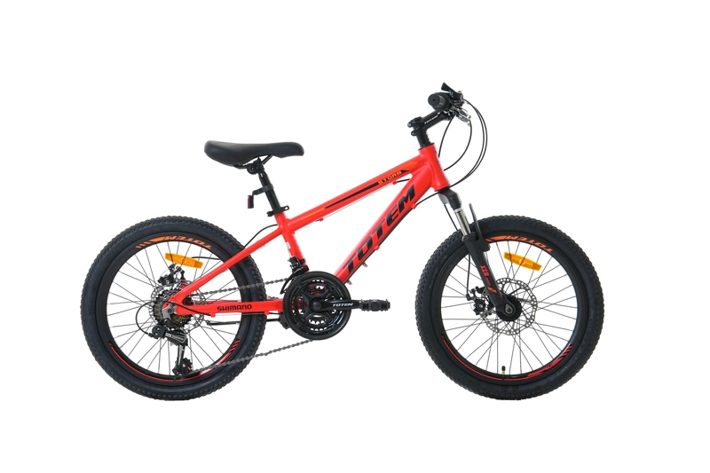 BICICLETA TOTEM MTB ARO 20 MODELO STORM ROJO - 1