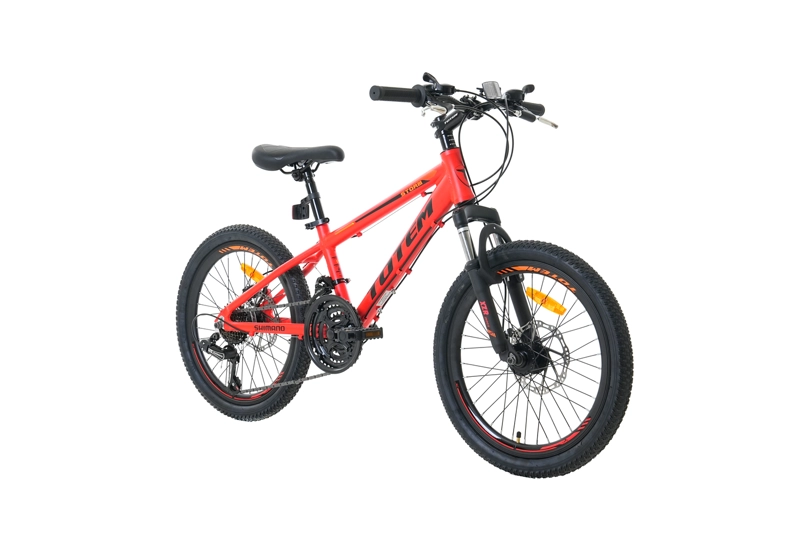 BICICLETA TOTEM MTB ARO 20 MODELO STORM ROJO - 2