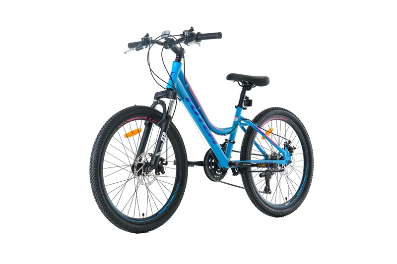 BICICLETA TOTEM MTB ARO 24 MODELO SITARA CELESTE - 5