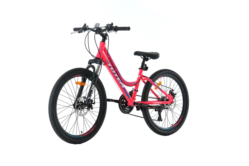 BICICLETA TOTEM MTB ARO 24 MODELO SITARA FUCSIA - 6