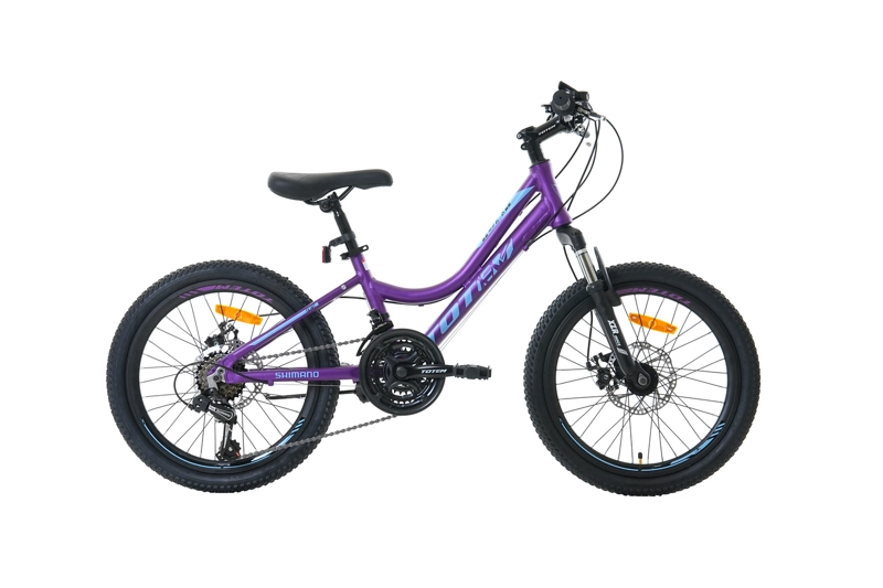 BICICLETA TOTEM MTB ARO 20 MODELO ELISE MORADO - 1