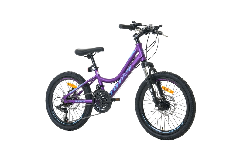 BICICLETA TOTEM MTB ARO 20 MODELO ELISE MORADO - 2