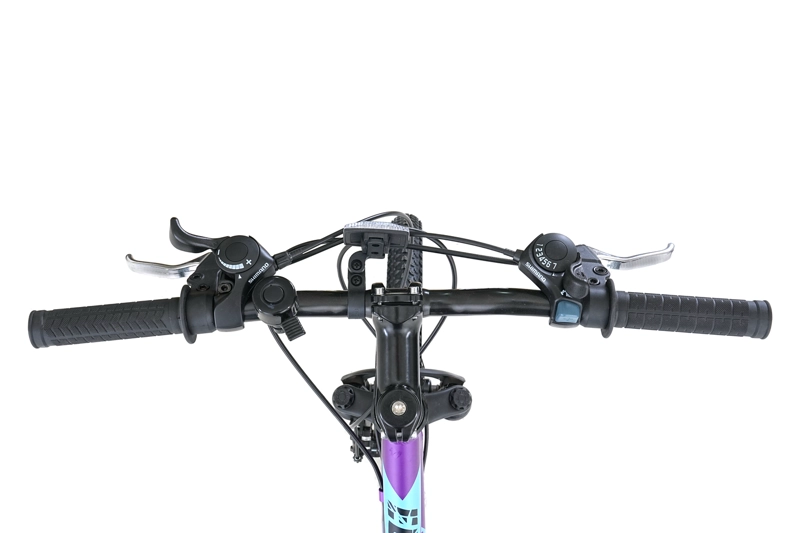 BICICLETA TOTEM MTB ARO 20 MODELO ELISE MORADO - 3