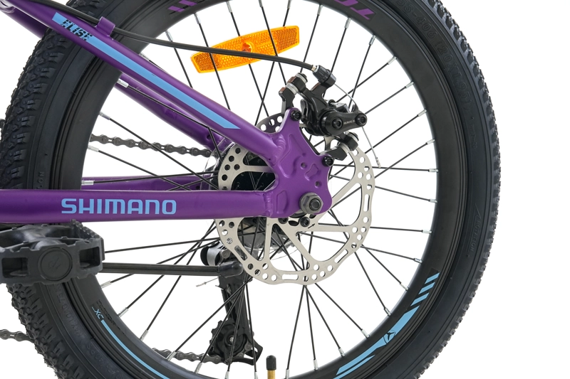 BICICLETA TOTEM MTB ARO 20 MODELO ELISE MORADO - 4