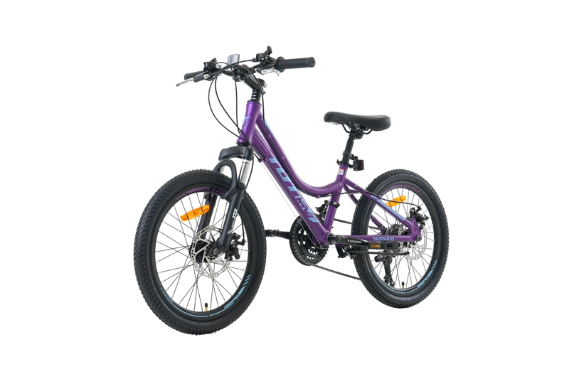 BICICLETA TOTEM MTB ARO 20 MODELO ELISE MORADO - 5