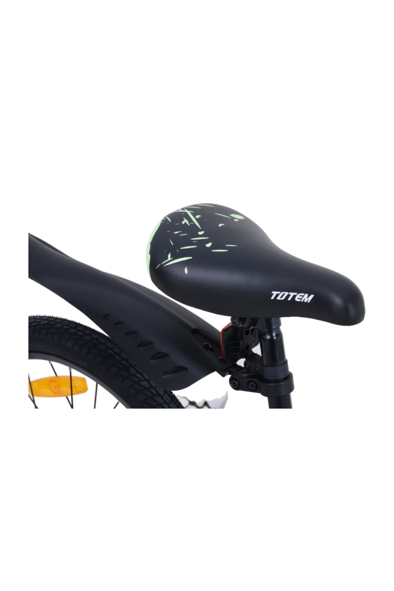 BICICLETA TOTEM INFANTIL ARO 20 ELECTRON VERDE AGUA - 5
