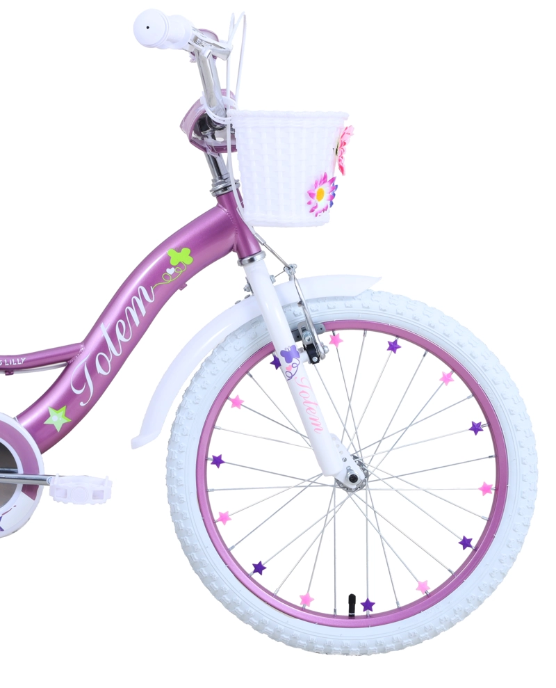 BICICLETA TOTEM INFANTIL ARO 20 MISS LILLY ROSA - 5