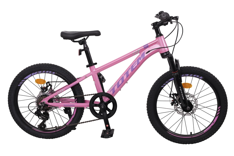 BICICLETA TOTEM MTB ARO 20 MODELO SAILING ROSADO - 1