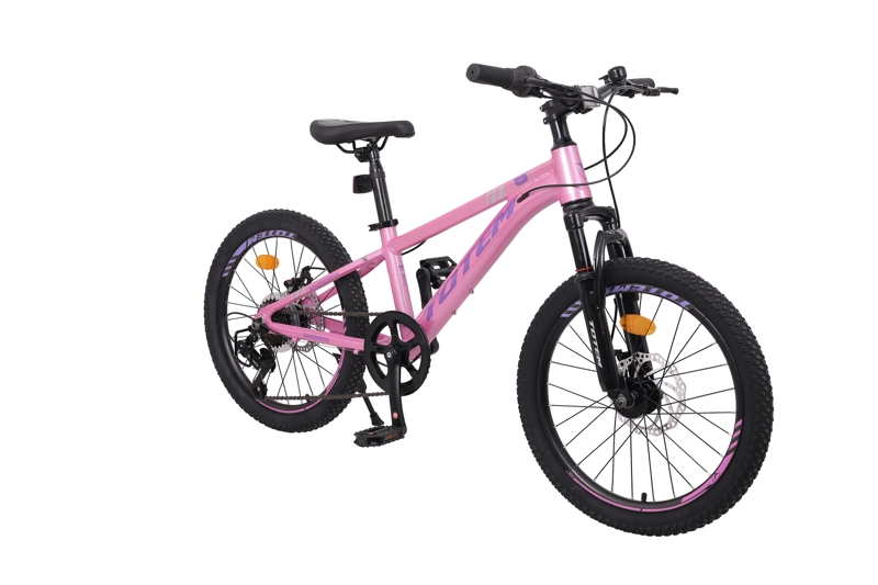 BICICLETA TOTEM MTB ARO 20 MODELO SAILING ROSADO - 2