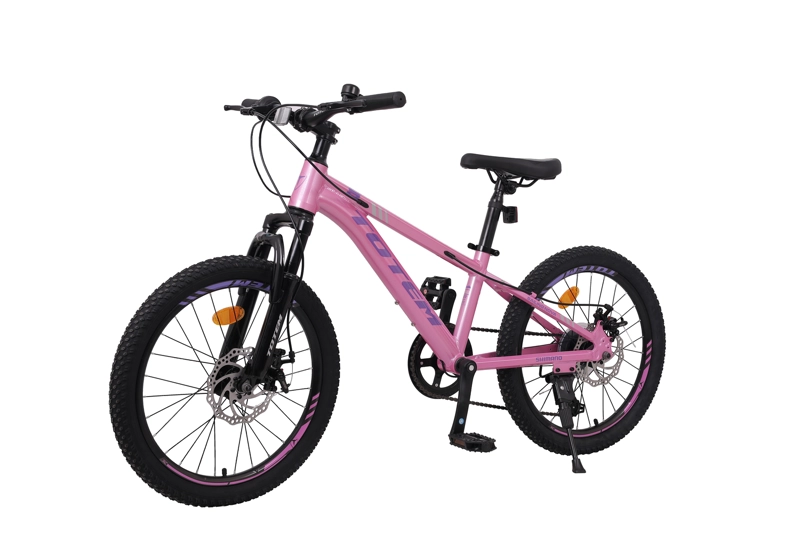 BICICLETA TOTEM MTB ARO 20 MODELO SAILING ROSADO - 4