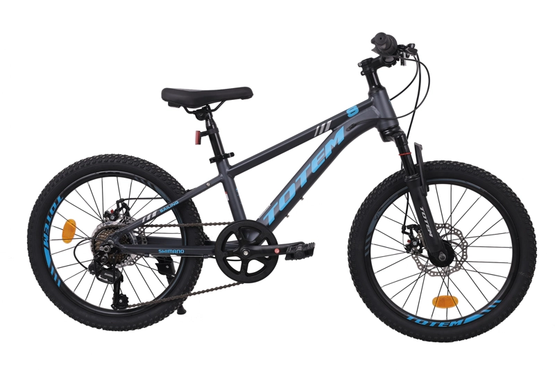BICICLETA TOTEM MTB ARO 20 MODELO SAILING GRIS - 1