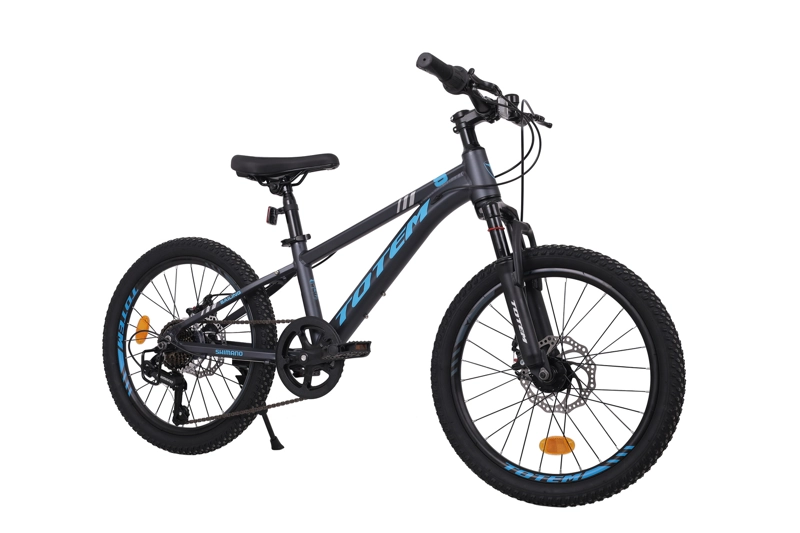 BICICLETA TOTEM MTB ARO 20 MODELO SAILING GRIS - 2