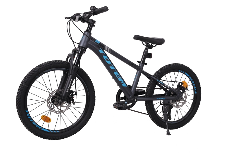 BICICLETA TOTEM MTB ARO 20 MODELO SAILING GRIS - 5