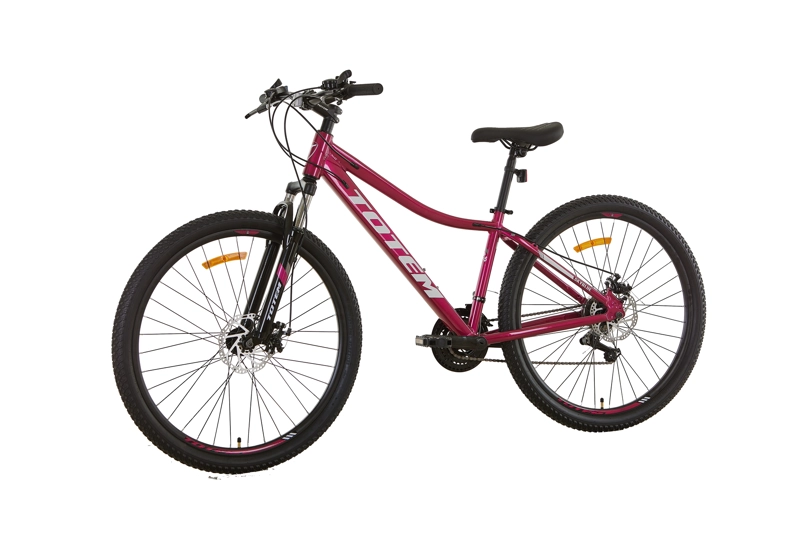 BICICLETA TOTEM MTB ARO 27.5*17 SKYBLUE COLOR FUCSIA - 6