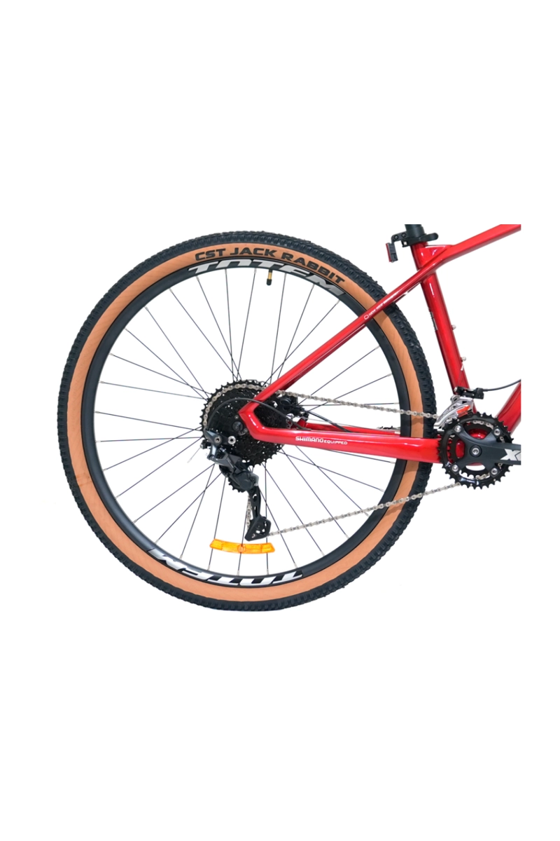 BICICLETA TOTEM MTB CARBONO PEGASUS ARO 29X16 ROJO - 9