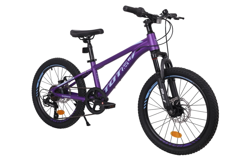 BICICLETA TOTEM MTB ARO 20 MODELO SAILING MORADO - 2