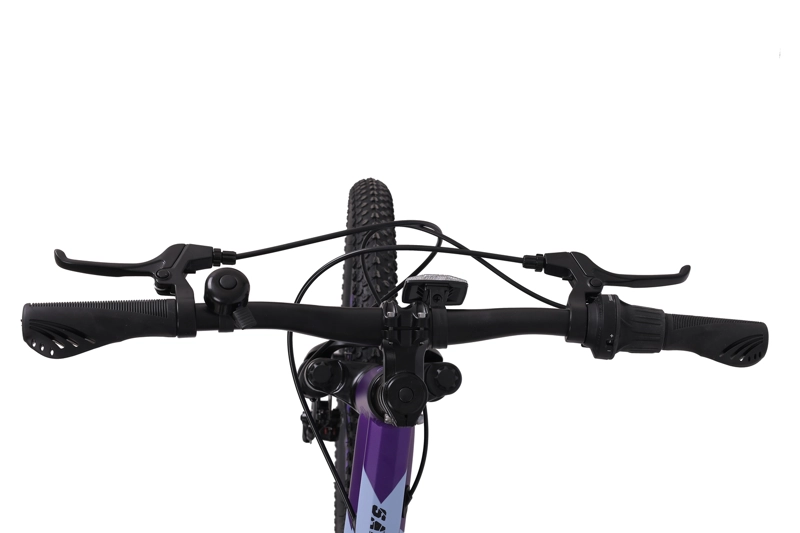 BICICLETA TOTEM MTB ARO 20 MODELO SAILING MORADO - 3