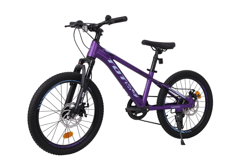 BICICLETA TOTEM MTB ARO 20 MODELO SAILING MORADO - 5