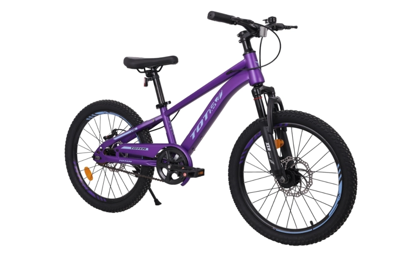 BICICLETA TOTEM MTB ARO 20 MODELO LYRA VIOLETA - 2