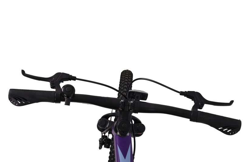 BICICLETA TOTEM MTB ARO 20 MODELO LYRA VIOLETA - 3