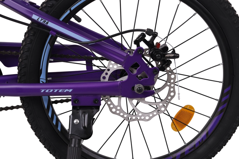 BICICLETA TOTEM MTB ARO 20 MODELO LYRA VIOLETA - 4