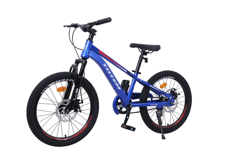 BICICLETA TOTEM MTB ARO 20 MODELO VOLT AZUL - 5