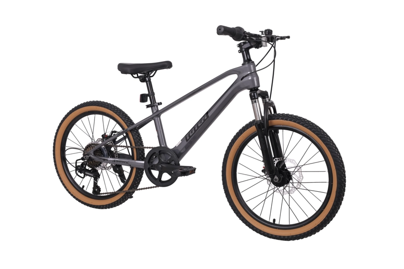 BICICLETA TOTEM MTB ARO 20 MODELO SPARK MAGNESIO GRIS - 2