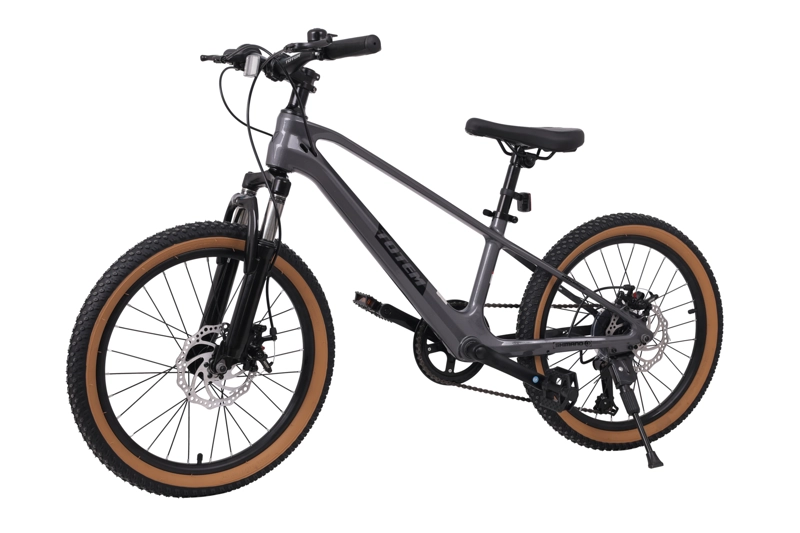 BICICLETA TOTEM MTB ARO 20 MODELO SPARK MAGNESIO GRIS - 4