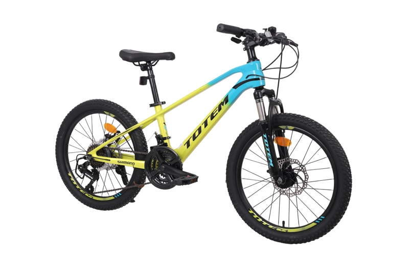 BICICLETA TOTEM MTB ARO 20 MODELO MARTIN MAGNESIO AMARILLO - 2