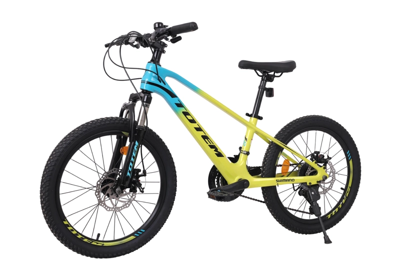 BICICLETA TOTEM MTB ARO 20 MODELO MARTIN MAGNESIO AMARILLO - 4
