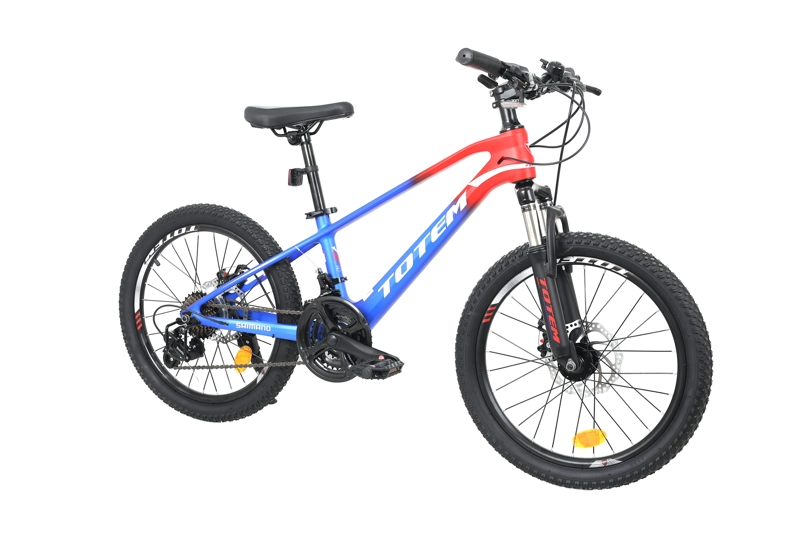 BICICLETA TOTEM MTB ARO 20 MODELO MARTIN MAGNESIO AZUL - 2