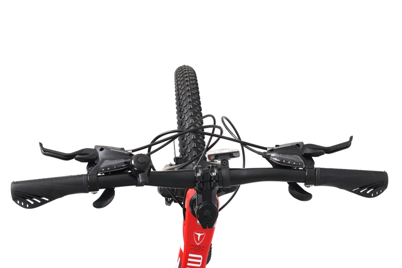 BICICLETA TOTEM MTB ARO 20 MODELO MARTIN MAGNESIO AZUL - 4