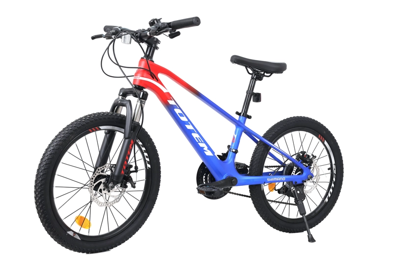 BICICLETA TOTEM MTB ARO 20 MODELO MARTIN MAGNESIO AZUL - 5
