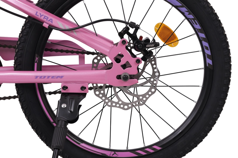 BICICLETA TOTEM MTB ARO 20 MODELO LYRA ROSADA - 2