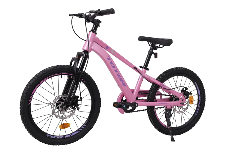 BICICLETA TOTEM MTB ARO 20 MODELO LYRA ROSADA - 3