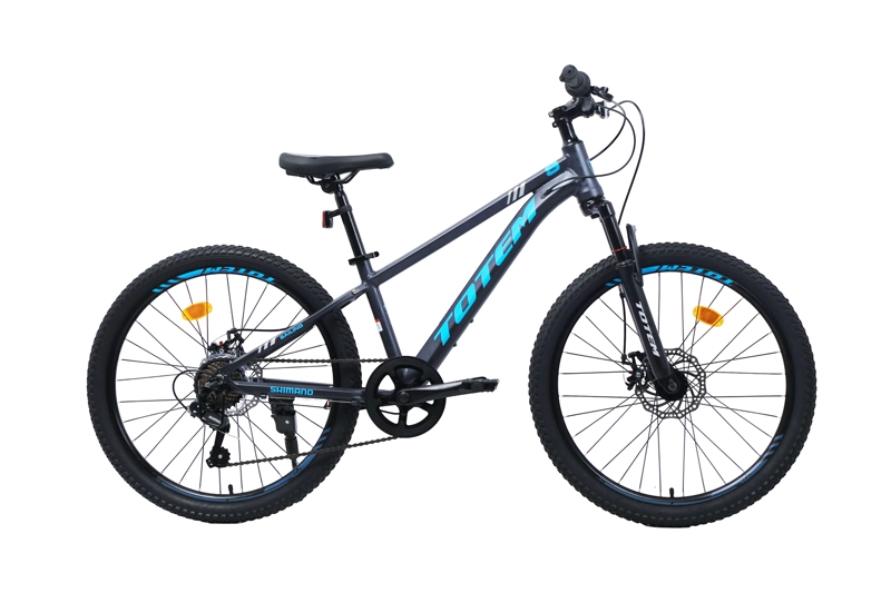 BICICLETA TOTEM MTB ARO 24 SAILING COLOR GRIS - 1