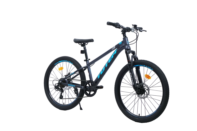 BICICLETA TOTEM MTB ARO 24 SAILING COLOR GRIS - 2