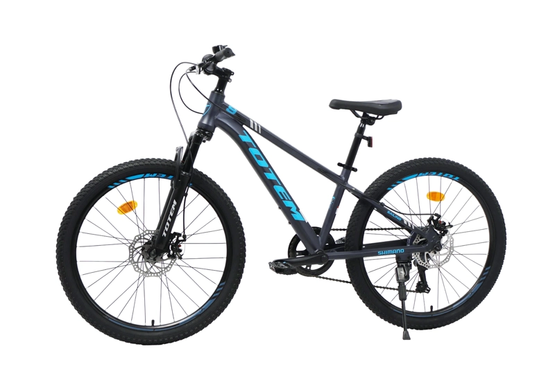 BICICLETA TOTEM MTB ARO 24 SAILING COLOR GRIS - 5