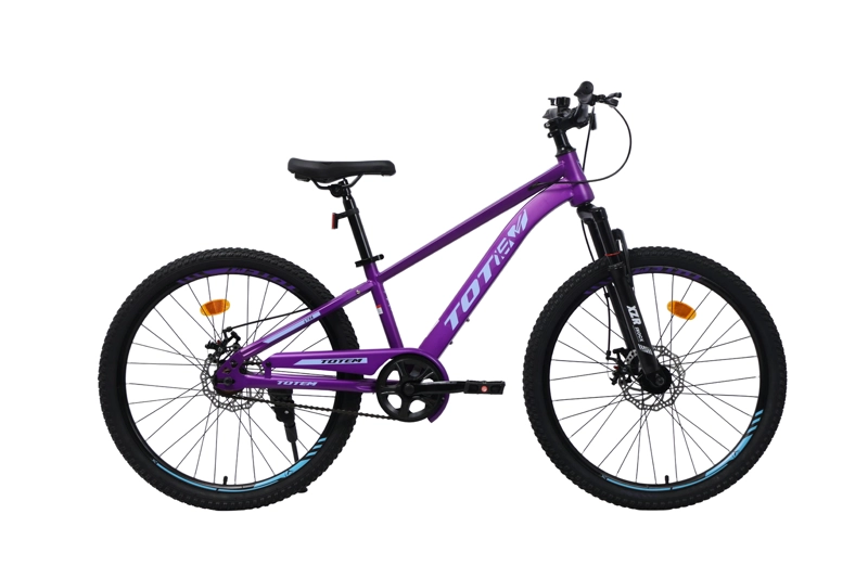 BICICLETA TOTEM MTB ARO 24 LYRA COLOR MORADO - 1