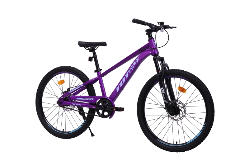 BICICLETA TOTEM MTB ARO 24 LYRA COLOR MORADO - 2