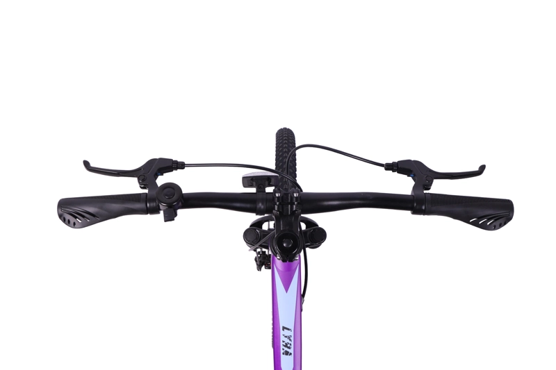 BICICLETA TOTEM MTB ARO 24 LYRA COLOR MORADO - 3