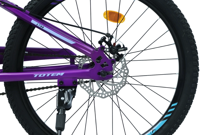 BICICLETA TOTEM MTB ARO 24 LYRA COLOR MORADO - 4