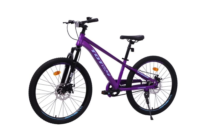 BICICLETA TOTEM MTB ARO 24 LYRA COLOR MORADO - 5