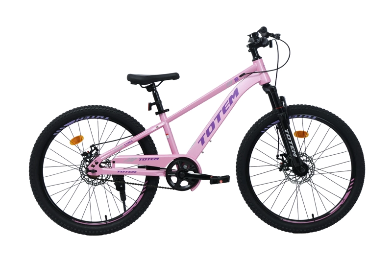 BICICLETA TOTEM MTB ARO 24 LYRA COLOR ROSADO - 1