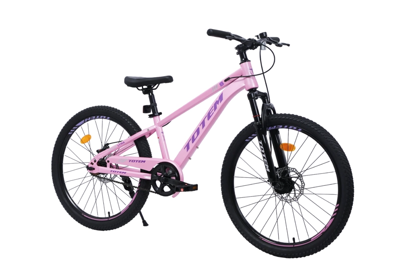 BICICLETA TOTEM MTB ARO 24 LYRA COLOR ROSADO - 2