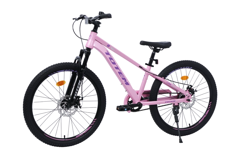 BICICLETA TOTEM MTB ARO 24 LYRA COLOR ROSADO - 4