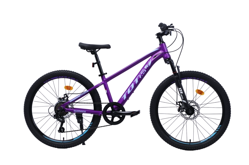 BICICLETA TOTEM MTB ARO 24 SAILING NOVA  COLOR MORADO - 1