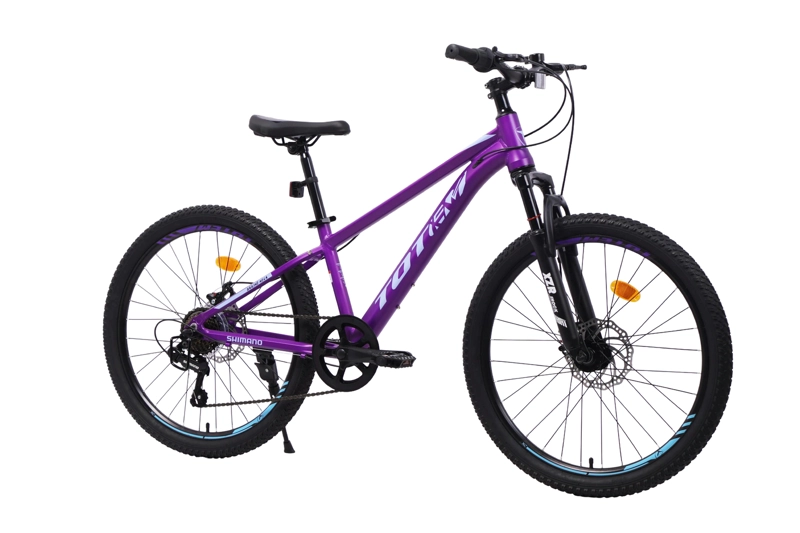 BICICLETA TOTEM MTB ARO 24 SAILING NOVA  COLOR MORADO - 2